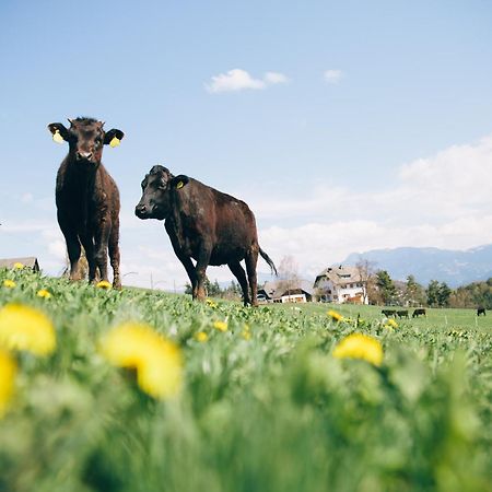 Alpin Farm Linde - Oberweidacherhof Collalbo Luaran gambar