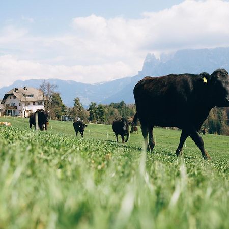 Alpin Farm Linde - Oberweidacherhof Collalbo Luaran gambar